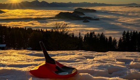 Mit einem solchen Zipfelbob (Symbolbild) verletzte sich der 32-Jährige bei der Talabfahrt. 