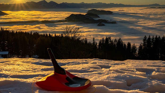 Mit einem solchen Zipfelbob (Symbolbild) verletzte sich der 32-Jährige bei der Talabfahrt.