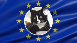 Alle Haustiere in Europa sollen mit Chips versehen werden.