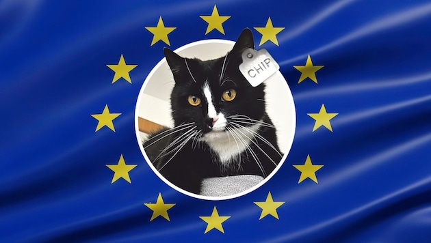 Alle Haustiere in Europa sollen mit Chips versehen werden.