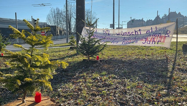 Kerzen wurden wieder aufgestellt, dazu kommen Christbäume auf den Stümpfen der Bäume, die nahe ...