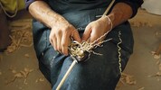 Harfenbauer aus Leidenschaft: Bis zu 200 Arbeitsstunden stecken in einem Instrument.