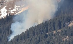 Der tagelange Waldbrand auf der Nordkette zeigte, wie groß die aktuelle Gefahr ist.