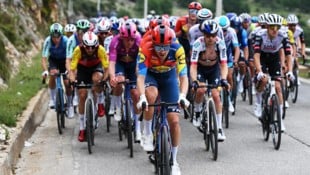 Patrick Konrad fährt voran – 2026 bei Giro, Tour und Vuelta.