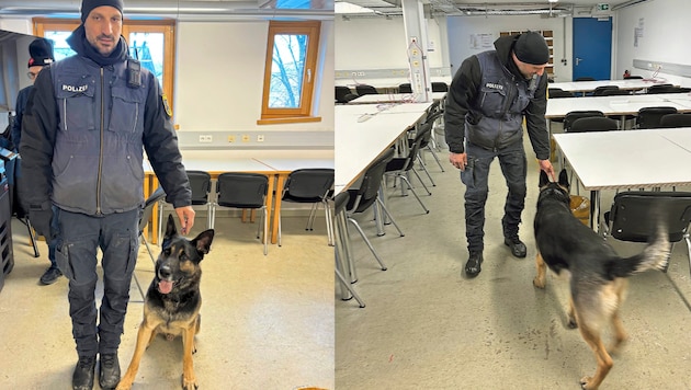 Spürhund Lenny mit seinem Herrschen Daniel Ruepp.