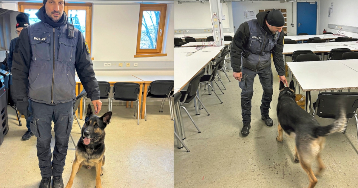 Four Hills Tournament: Sniffer dogs provide a sense of security