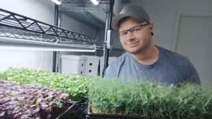 Thomas Valuch ist „Tommy Greens“ – er produziert in Wallern die verschiedensten Microgreens. 