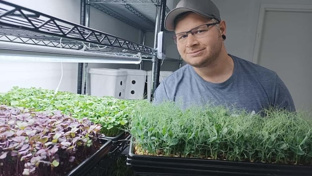 Thomas Valuch ist „Tommy Greens“ – er produziert in Wallern die verschiedensten Microgreens.