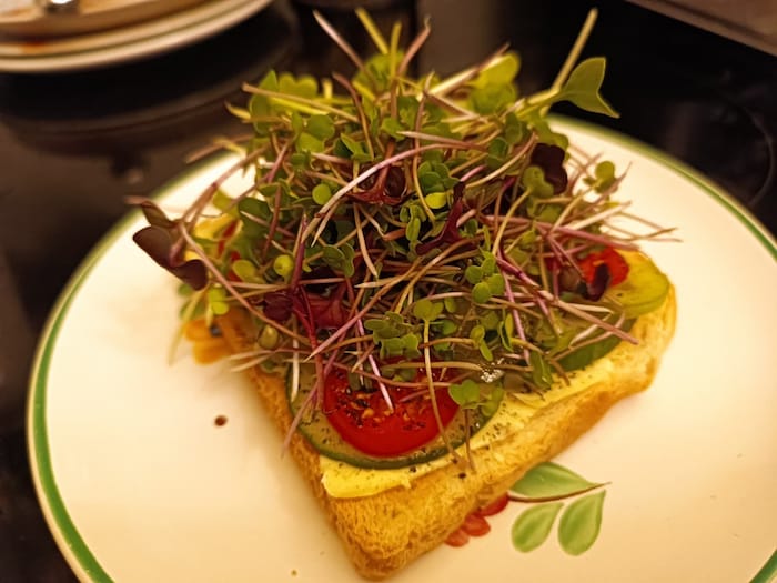 Am Toast, im Salat oder als essbare Deko am Gericht sind die Microgreens ein wünschenswerter ...