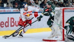 War nach 134 Tagen wieder dabei: Eisbullen-Stürmer Peter Hochkofler (li.).