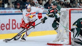 War nach 134 Tagen wieder dabei: Eisbullen-Stürmer Peter Hochkofler (li.).