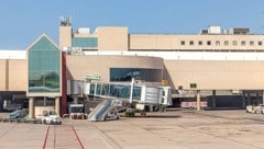 Rund 20 Minuten lang sorgte ein entlaufender Hundewelpe für Aufregung am Flughafen von Mallorca.