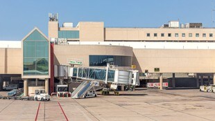 Rund 20 Minuten lang sorgte ein entlaufender Hundewelpe für Aufregung am Flughafen von Mallorca.