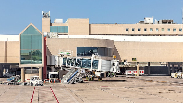 Rund 20 Minuten lang sorgte ein entlaufender Hundewelpe für Aufregung am Flughafen von Mallorca.