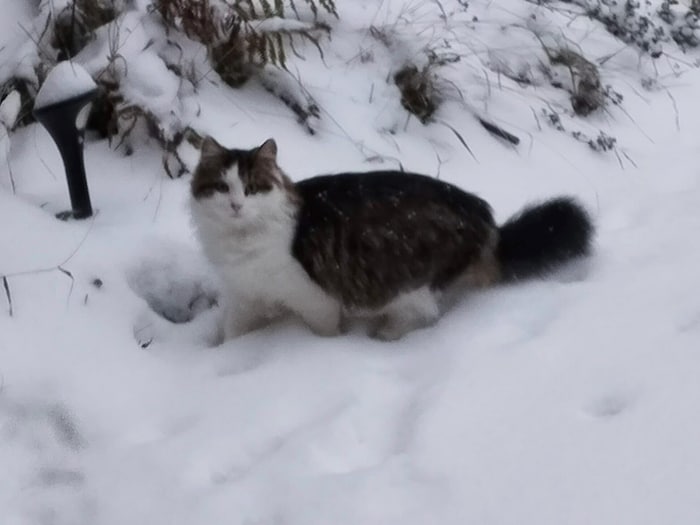 Wer hat Schnecki gesehen?