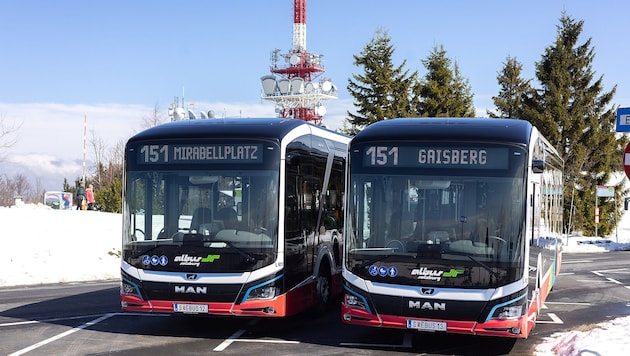 Der Gaisbergbus fährt wie gewohnt auf den Gipfel