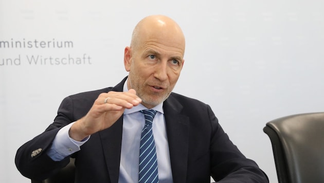 Martin Kocher, Gouverneur der Österreichischen Nationalbank