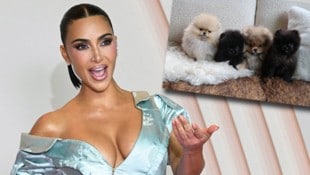 Kim Kardashian schenkte ihren vier Kindern je einen flauschigen Welpen zu Weihnachten und wird ...