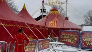 Fassungslos zeigt sich der heimische Zirkusbetreiber Roman Mandl de Gomes, der seit 2018 Groß ...