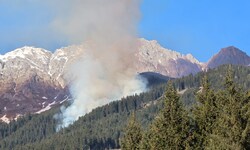 Im Dezember kam es auf der Nordkette in Innsbruck zu einem massiven Waldbrand.