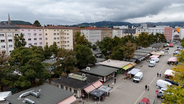 Das neue Jahr steht auch im Zeichen einer geplanten und wohl auch notwendigen Reform des ...