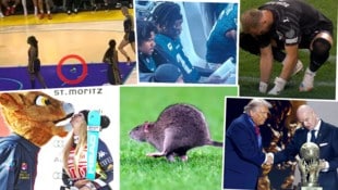 2025 war geprägt von zahlreichen unvergesslichen und kuriosen Sport-Momenten.