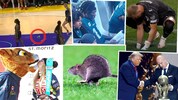 2025 war geprägt von zahlreichen unvergesslichen und kuriosen Sport-Momenten.