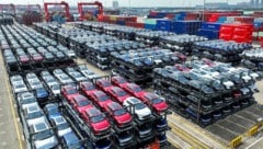 Ein Hafen unweit von Shanghai: Unzählige BYD-Elektroautos warten darauf, in einen Autofrachter ...