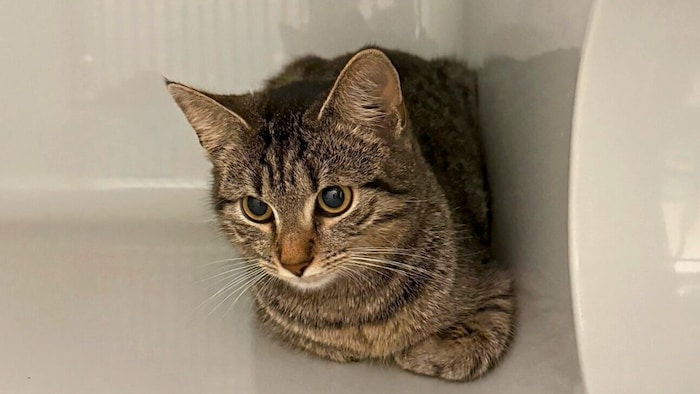 Einsam und allein aufgefunden