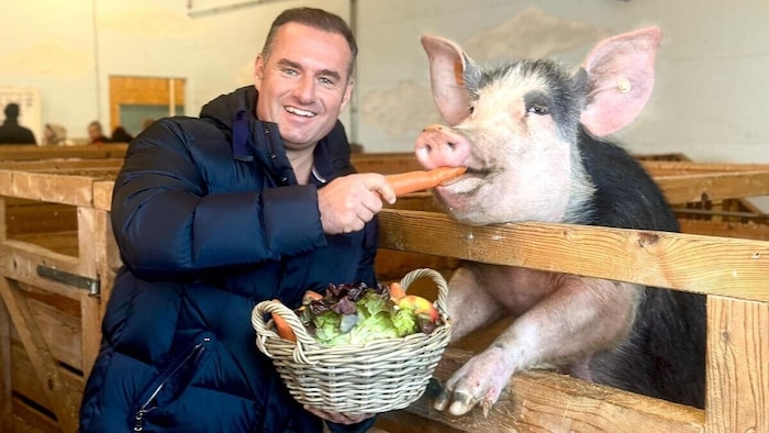 Gut-Aiderbichl-Chef Dieter Ehrengruber schaut kurz vor dem Silvesterabend noch kurz bei seinen ...