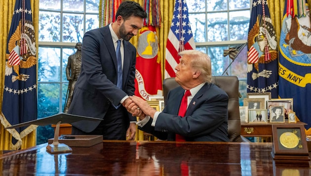 An seiner Überzeugung, dass Trump ein „Faschist“ sei, habe die Begegnung im Oval Office ohnehin ...