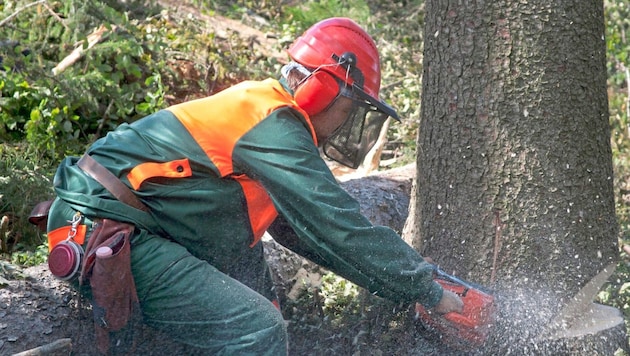 Der Unfall in Pollham passierte beim Baumfällen.