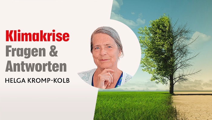 Helga Kromp-Kolb ist Professorin an der Universität für Bodenkultur in Wien und Österreichs ...