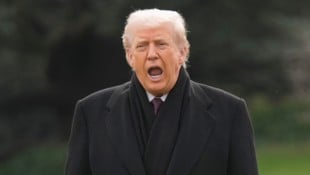 US-Präsident Donald Trump hat  bei einem Werksbesuch in einer Fabrik des US-Autobauers Ford in ...