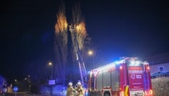Die Feuerwehr Oberndorf löschte den Brand einer Baumkrone.