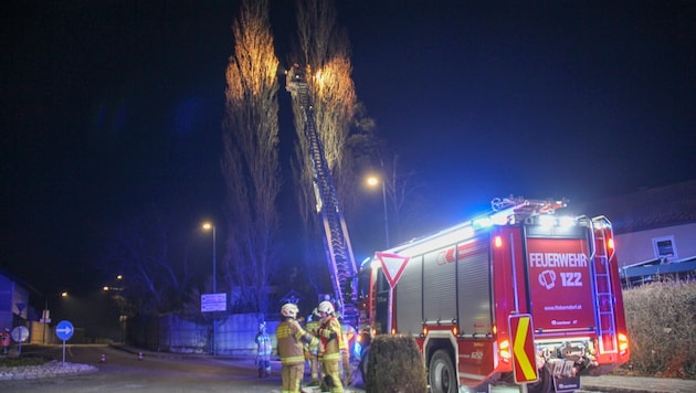 Die Feuerwehr Oberndorf löschte den Brand einer Baumkrone.
