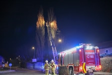 Die Feuerwehr Oberndorf löschte den Brand einer Baumkrone.