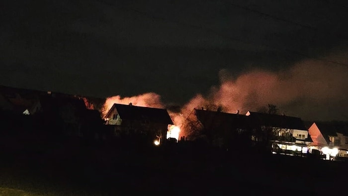 In Jois entfachte sich aus ungeklärter Ursache ein Heckenbrand, der von der örtlichen Feuerwehr ...