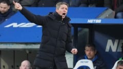 Oliver Glasner bekommt offensive Verstärkung.