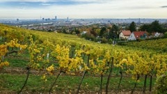 Bei fast allen Messstationen in der Stadt wurden 2025 Tiefstwerte verzeichnet.