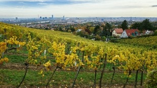 Bei fast allen Messstationen in der Stadt wurden 2025 Tiefstwerte verzeichnet.