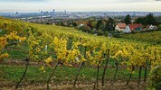 Bei fast allen Messstationen in der Stadt wurden 2025 Tiefstwerte verzeichnet.