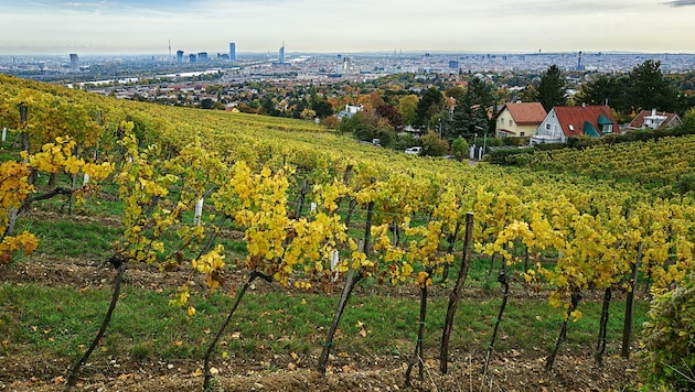 Bei fast allen Messstationen in der Stadt wurden 2025 Tiefstwerte verzeichnet.