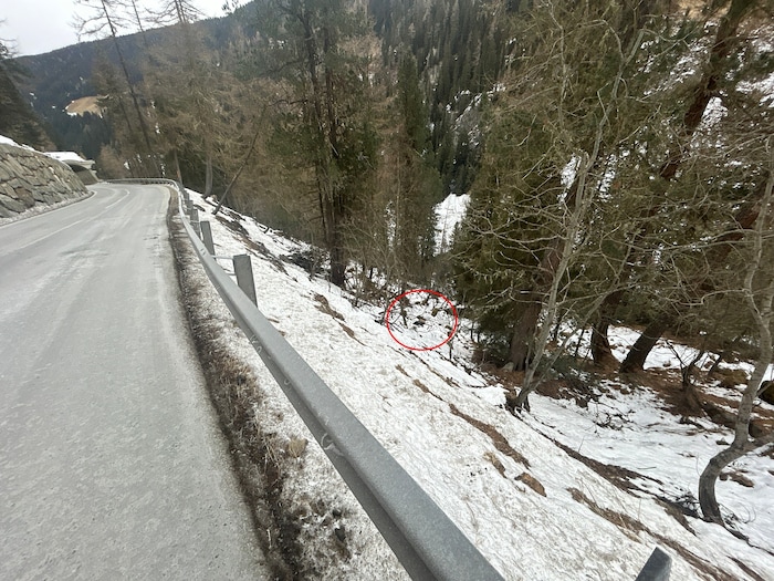 In diesem Bereich lag das tote Tier etwas unterhalb der Kühtaier Straße. Möglich, dass Zeugen ...