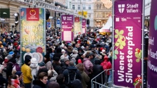 Zum Jahreswechsel in Wien münden Unterschiede nicht in Konflikte