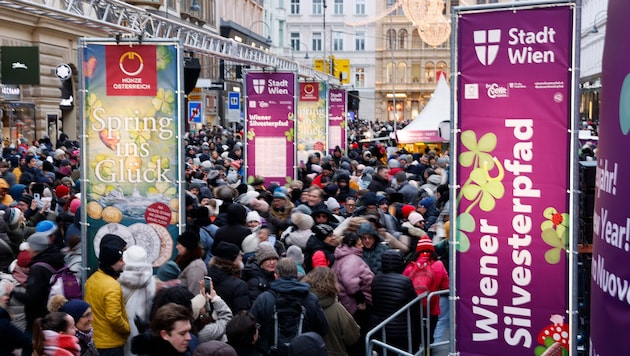 Zum Jahreswechsel in Wien münden Unterschiede nicht in Konflikte
