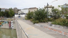 Der Tunesier wurde am Franz-Josefs-Kai von der vierköpfigen Bande heftig attackiert.