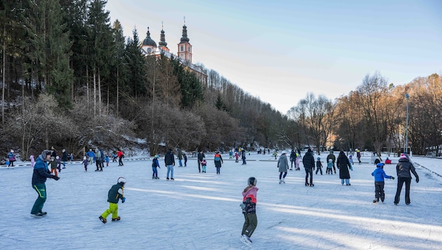 Am Mariatroster Teich in Graz kommen Eisläufer seit Neujahr auf ihre Kosten.