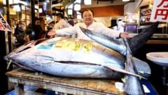 Der Betreiber des Sushi-Restaurants Zanmai präsentierte den Riesen-Fisch.