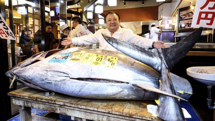 Der Betreiber des Sushi-Restaurants Zanmai präsentierte den Riesen-Fisch.